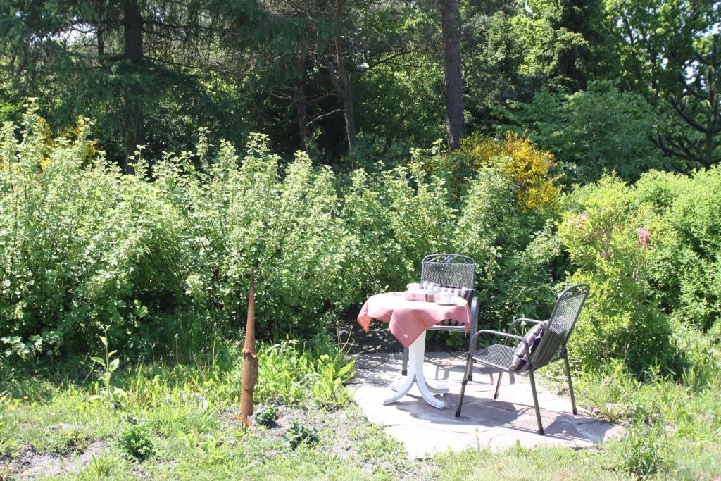 Armarova Ihre Ferienpension 쿡스하펜 외부 사진